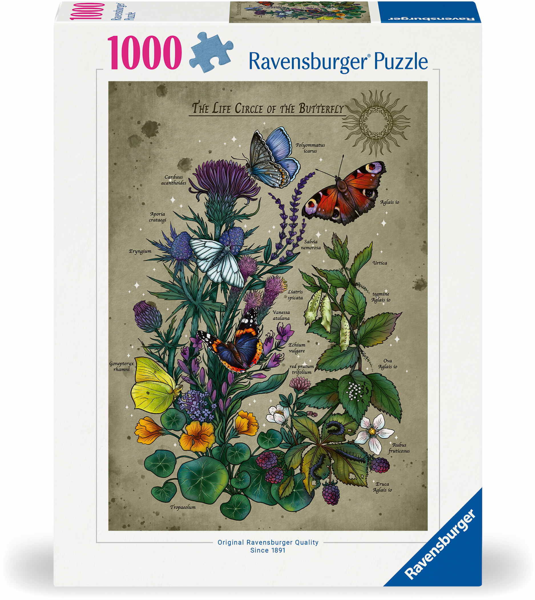 1000 Teile Ravensburger Puzzle Lifecircle Butterfly 12001435