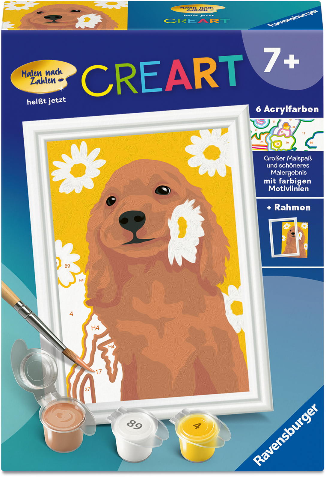 Ravensburger Malen nach Zahlen CREART Serie F Cocker Spaniel Sunny 12023173
