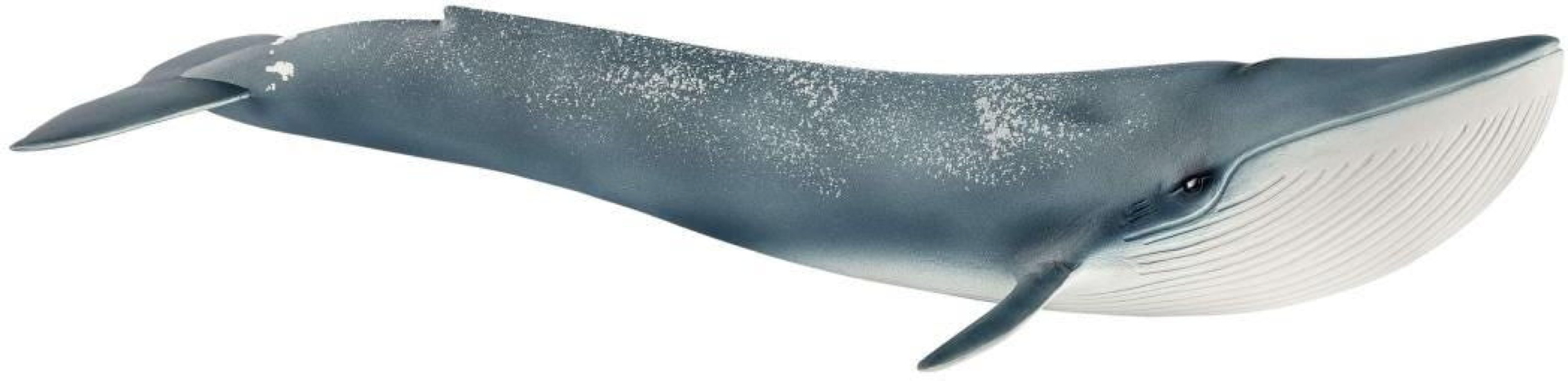 Schleich WILD LIFE Blauwal Einzelfigur 14806