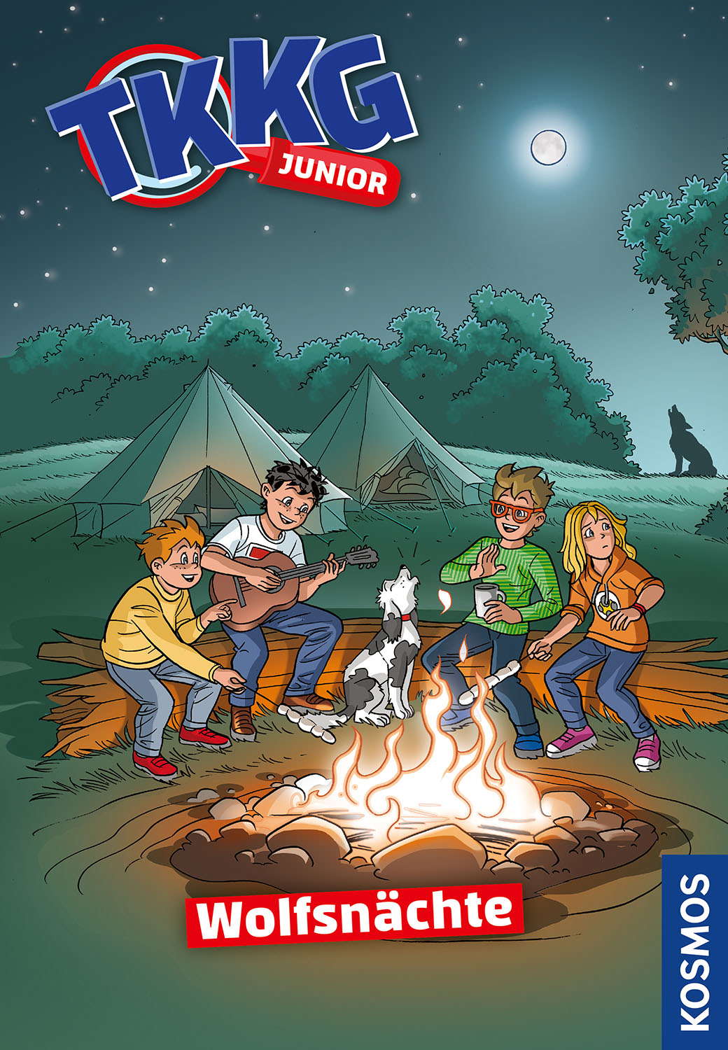 Kosmos Buch TKKG Junior Wolfsnächte 18293